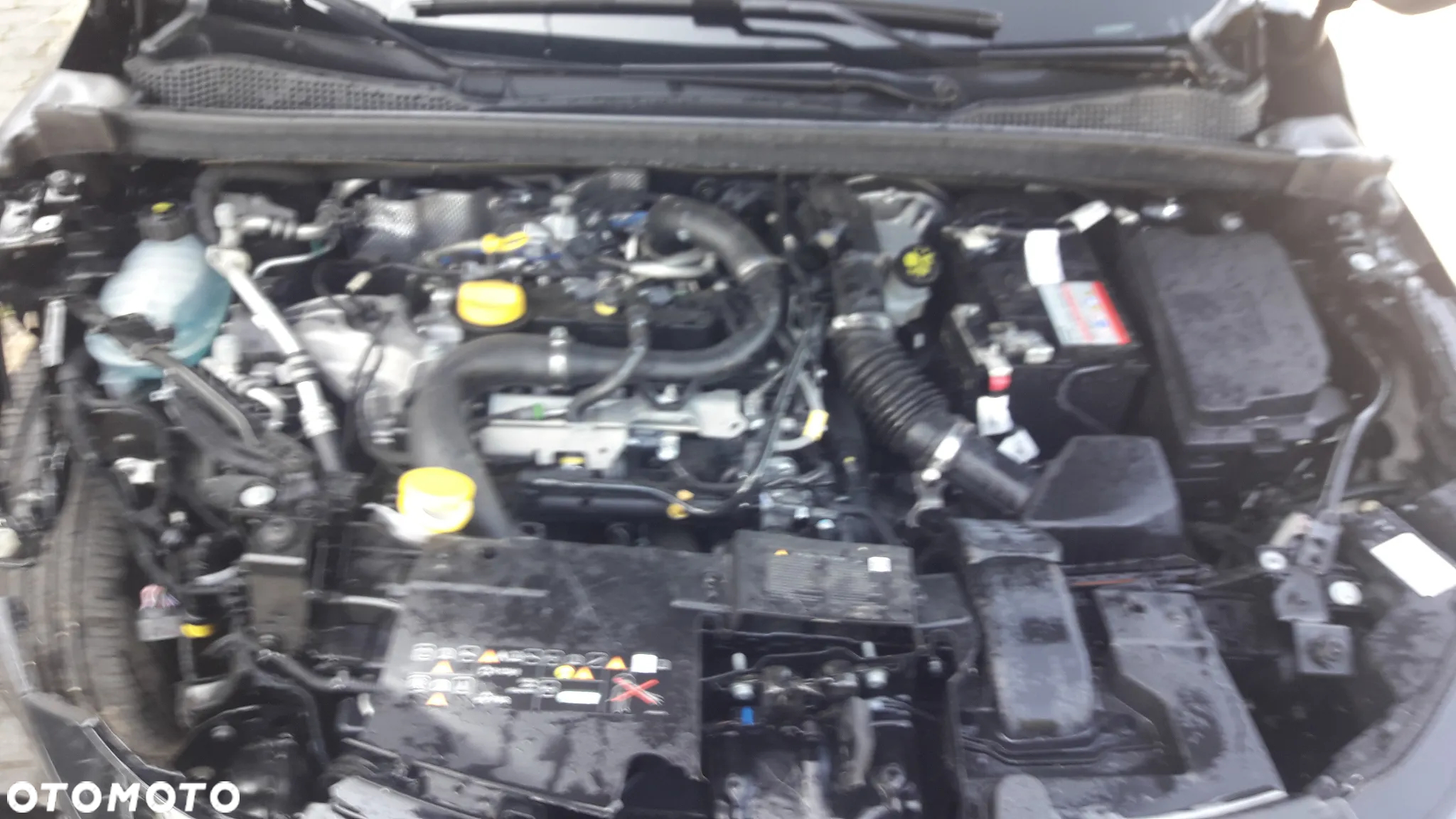 Renault Captur TCe 90 BUSINESS EDITION - 19