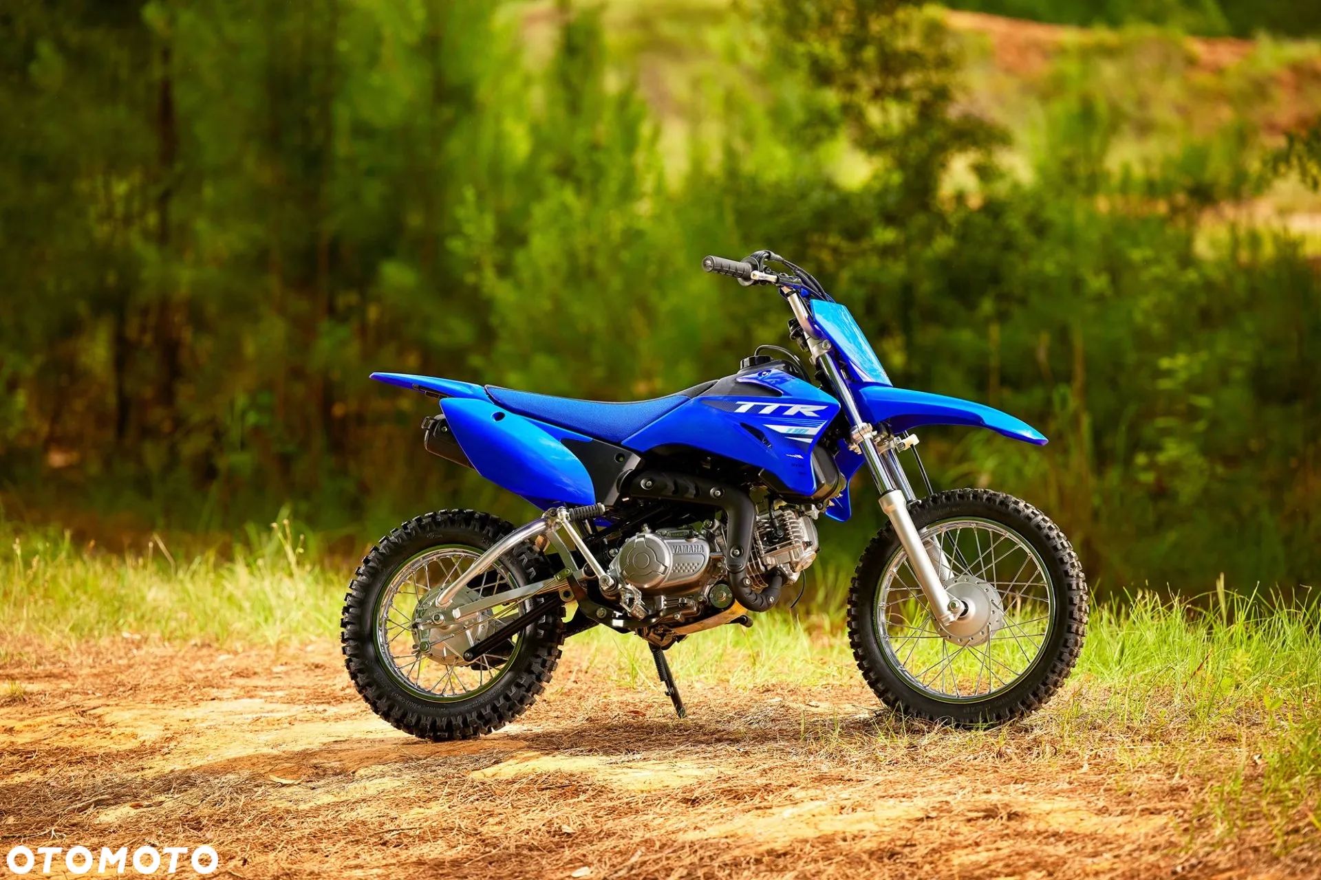 Yamaha TTR