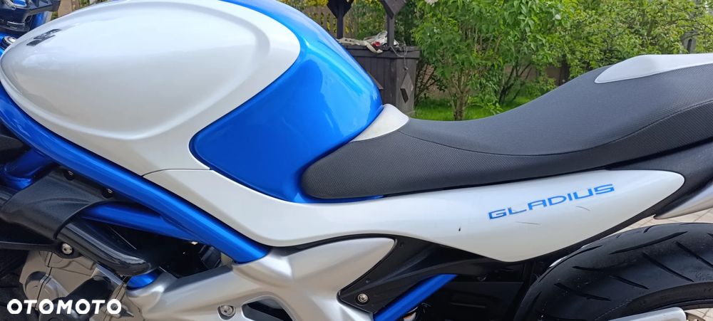 Suzuki Gladius - 33