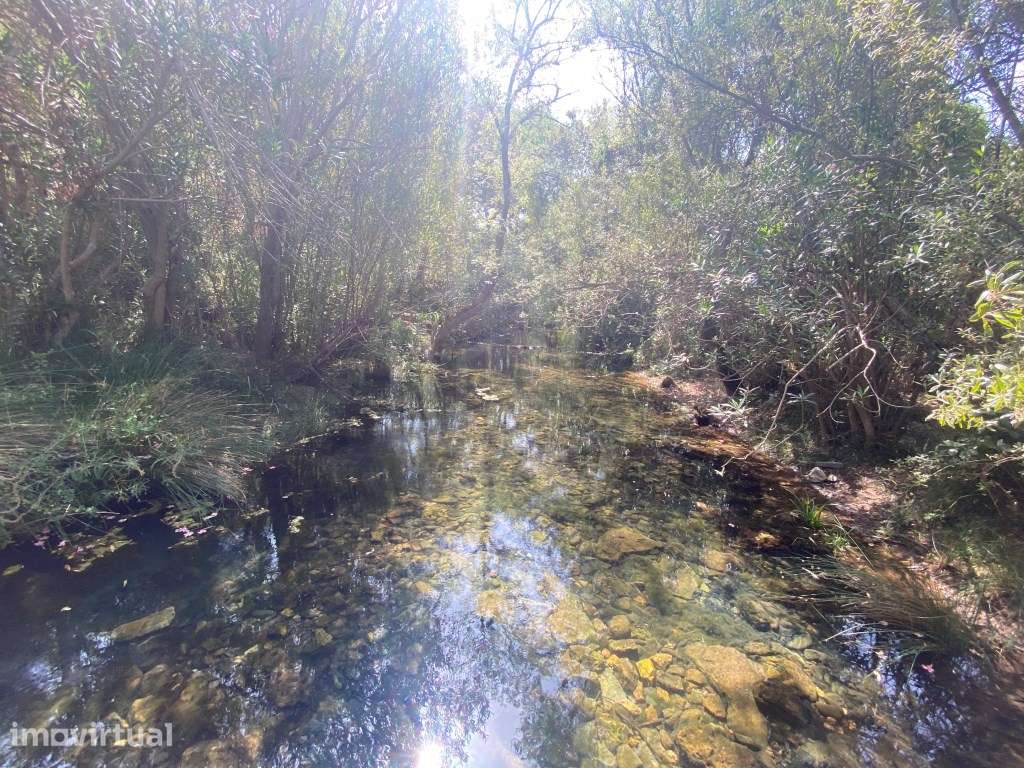 Lote de terreno rústico na Fonte da Benémola, Loulé, Algarve - Grande imagem: 5/25