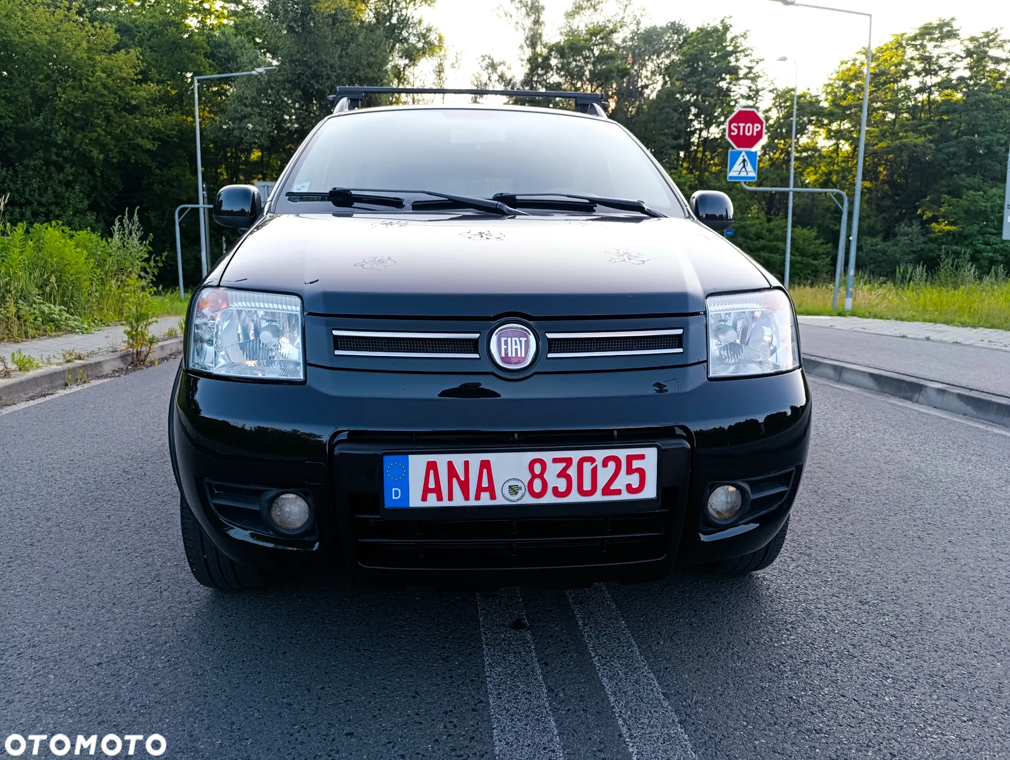 Fiat Panda 1.2 4x4 Climbing - 3