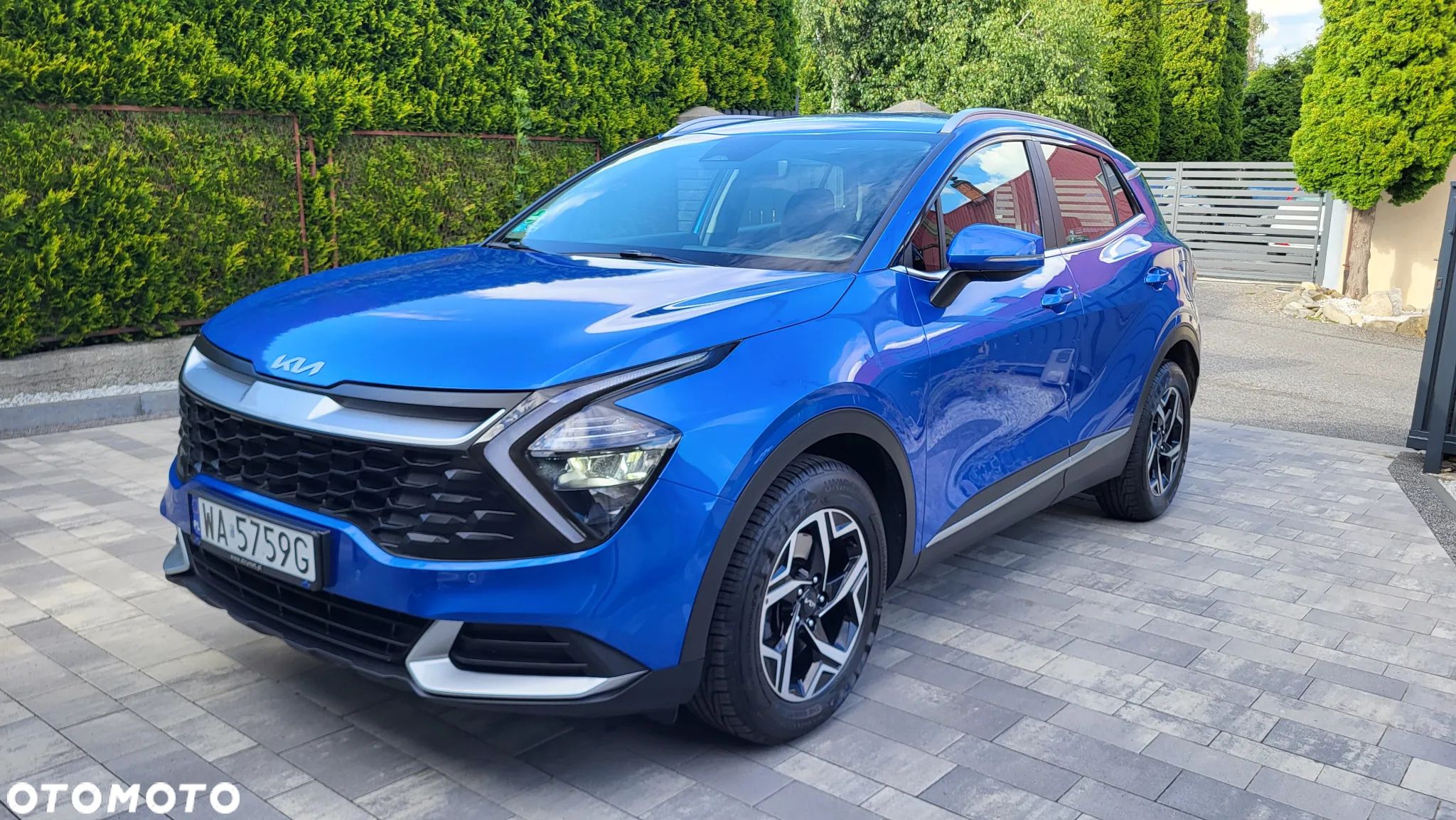 Kia Sportage - 1