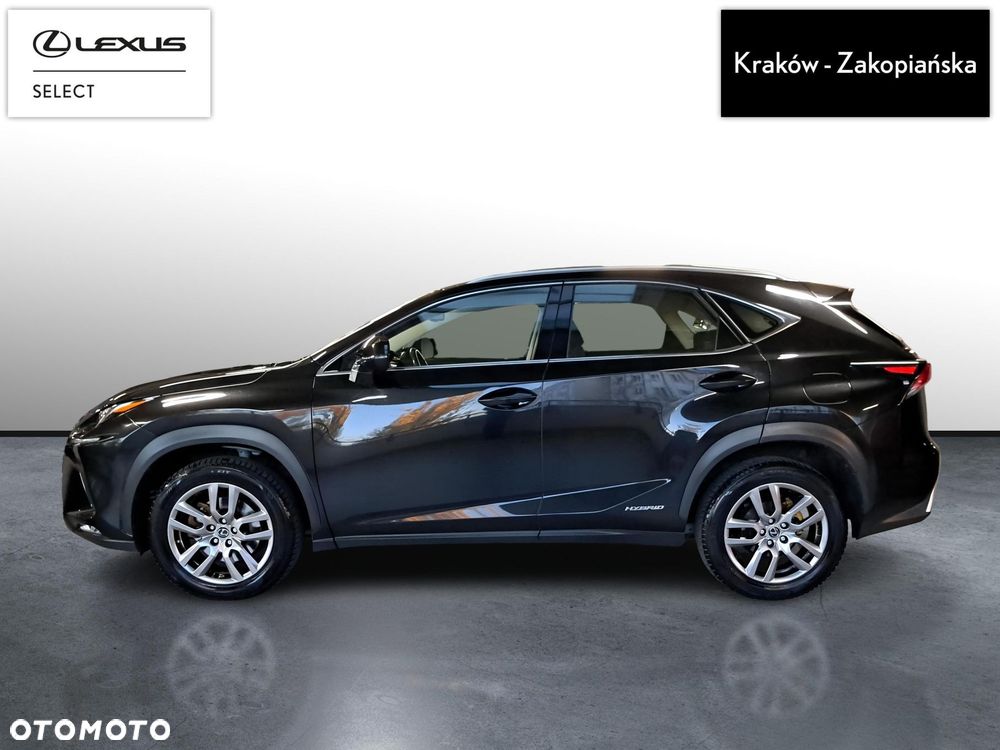 Lexus NX - 2