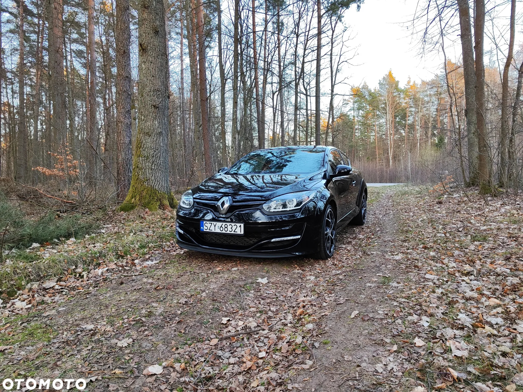 Renault Megane R.S EU6 - 3