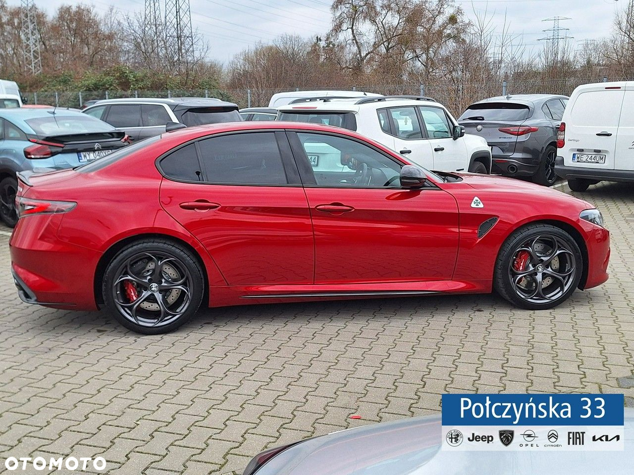 Alfa Romeo Giulia - 5