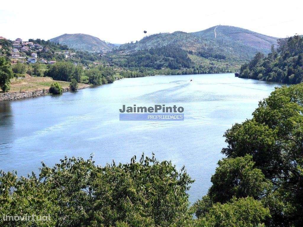 Terreno 40.500m2 vizinho ao rio Douro. Portugal, Porto, Penafiel, E... - Grande imagem: 5/9