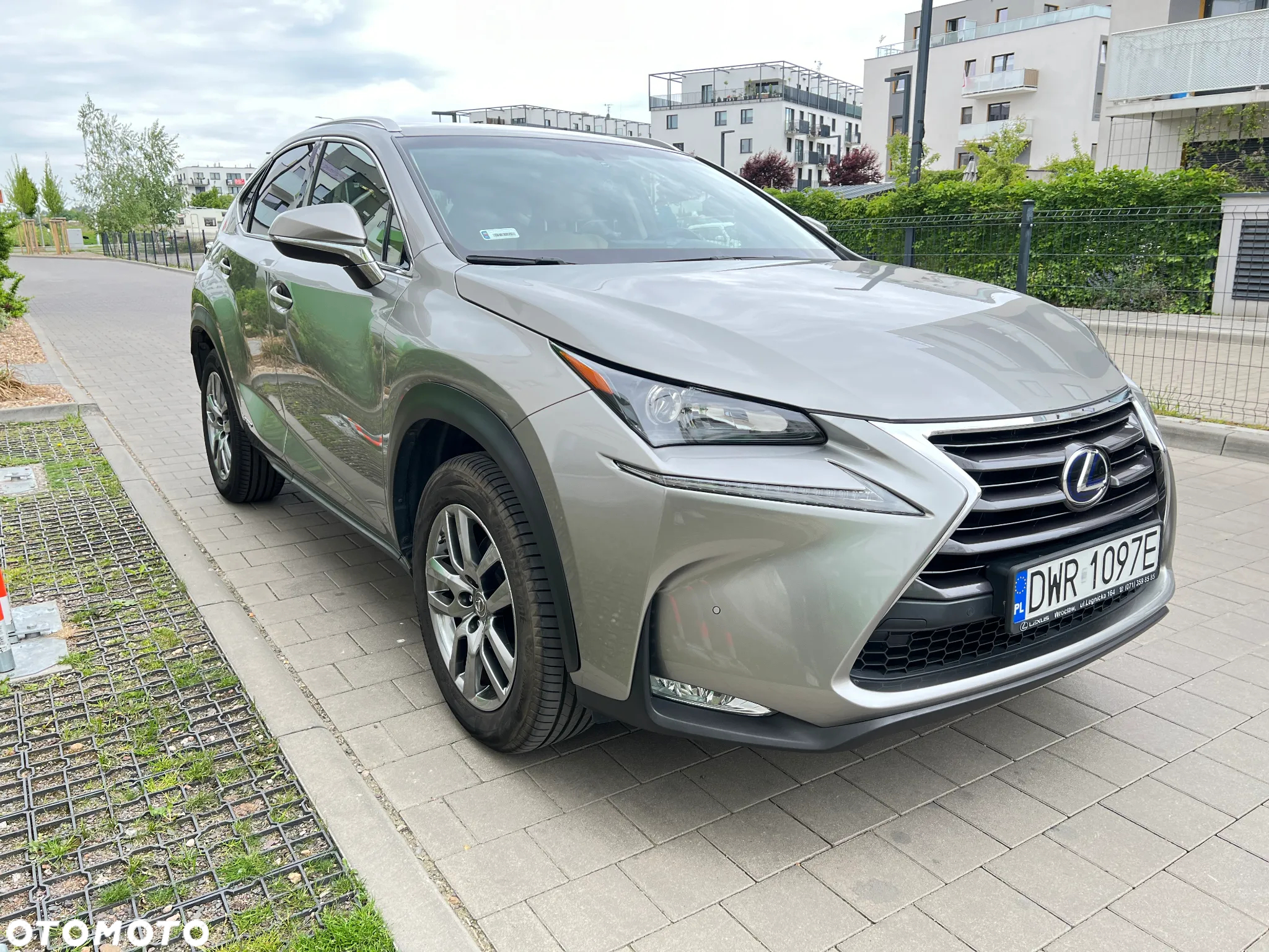Lexus NX - 6