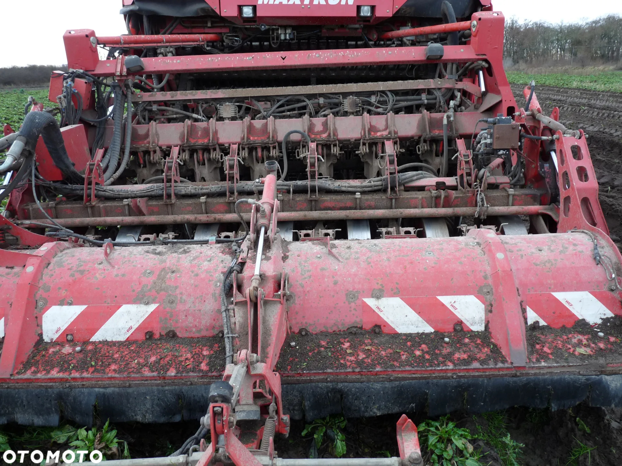 Grimme Maxtron 620 - 8