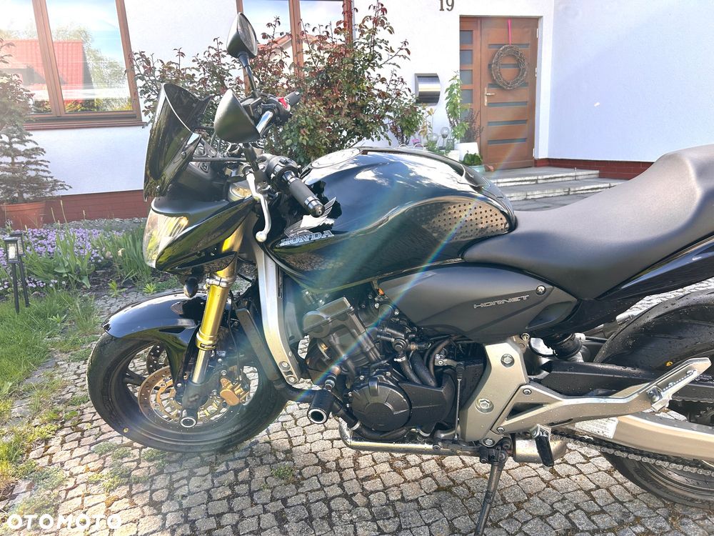 Honda Hornet - 6