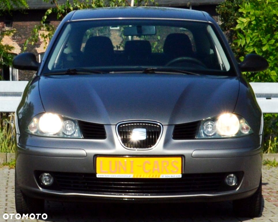 Seat Ibiza - 22