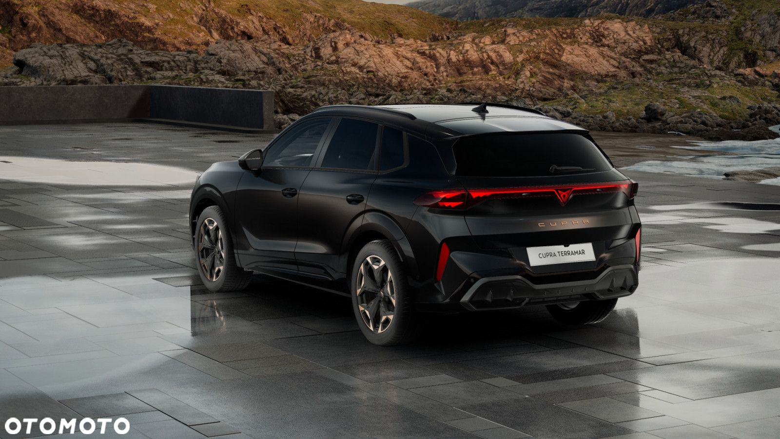 Cupra Terramar - 4