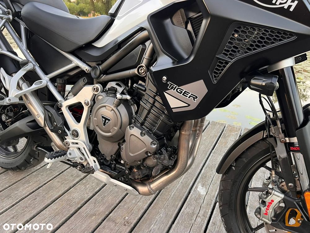 Triumph Tiger - 17