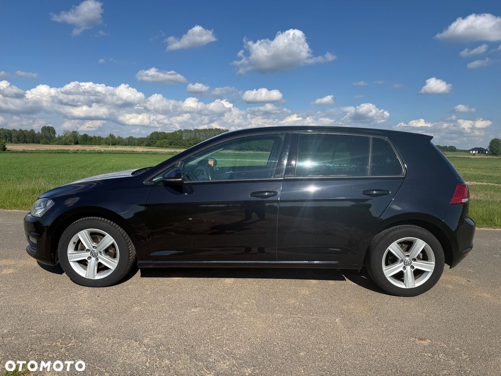 Volkswagen Golf - 8