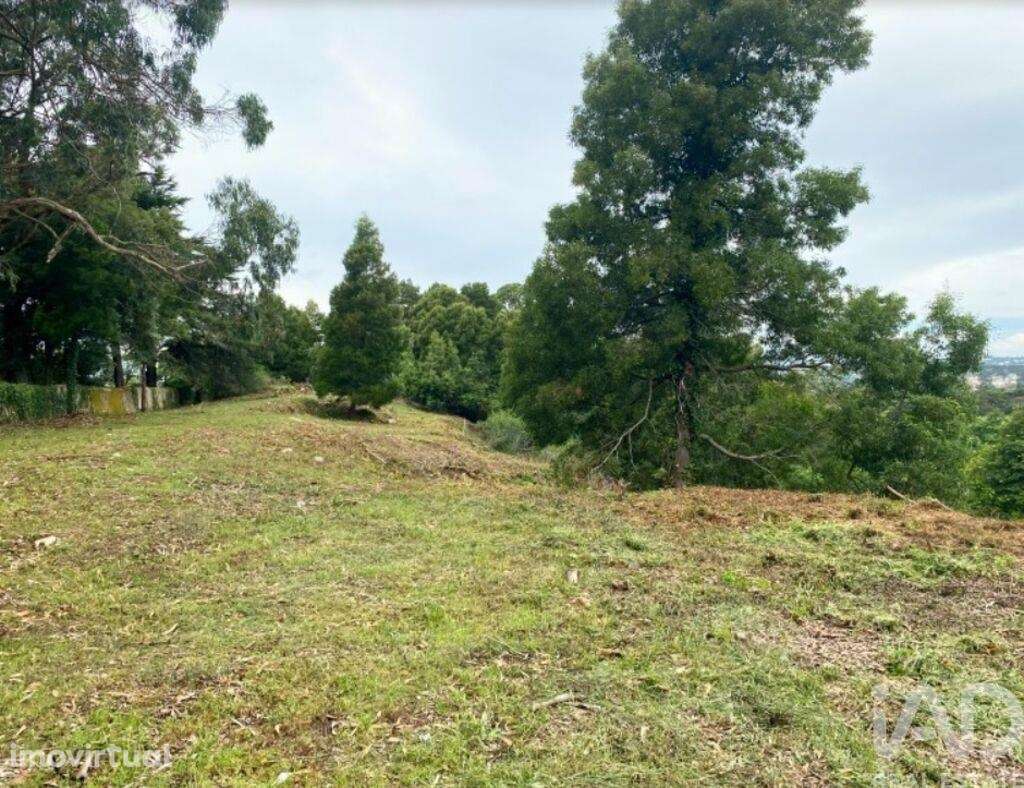 Terreno para construção em Sintra - Grande imagem: 4/12
