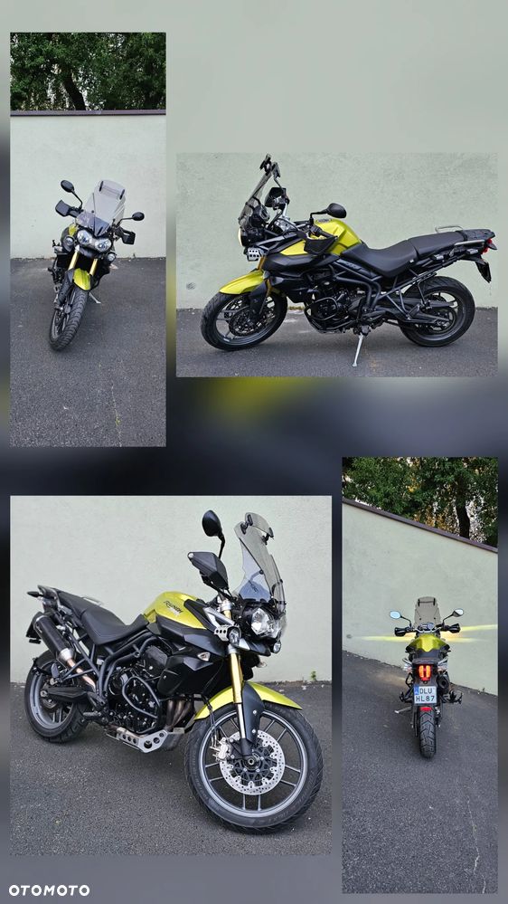 Triumph Tiger - 5