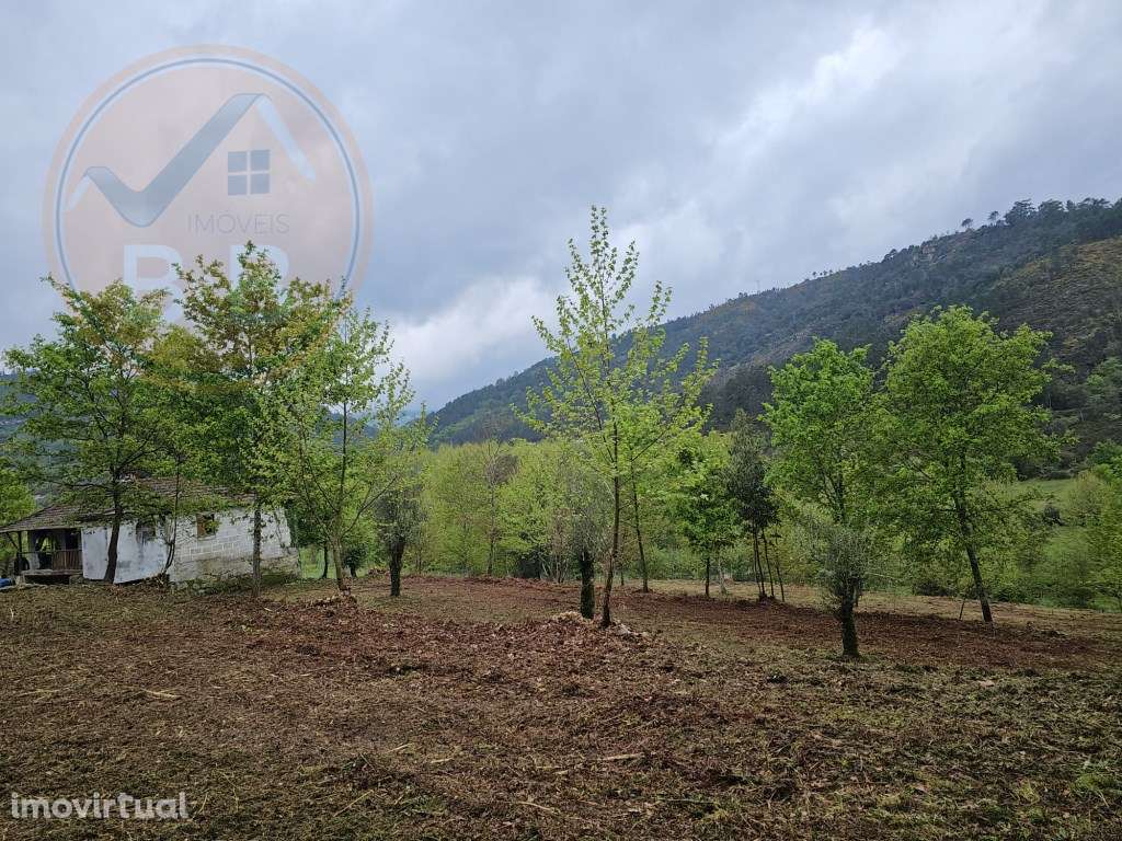 Quintinha próxima a área de lazer e rio de Sta Senhorinha (Basto), ... - Grande imagem: 5/27