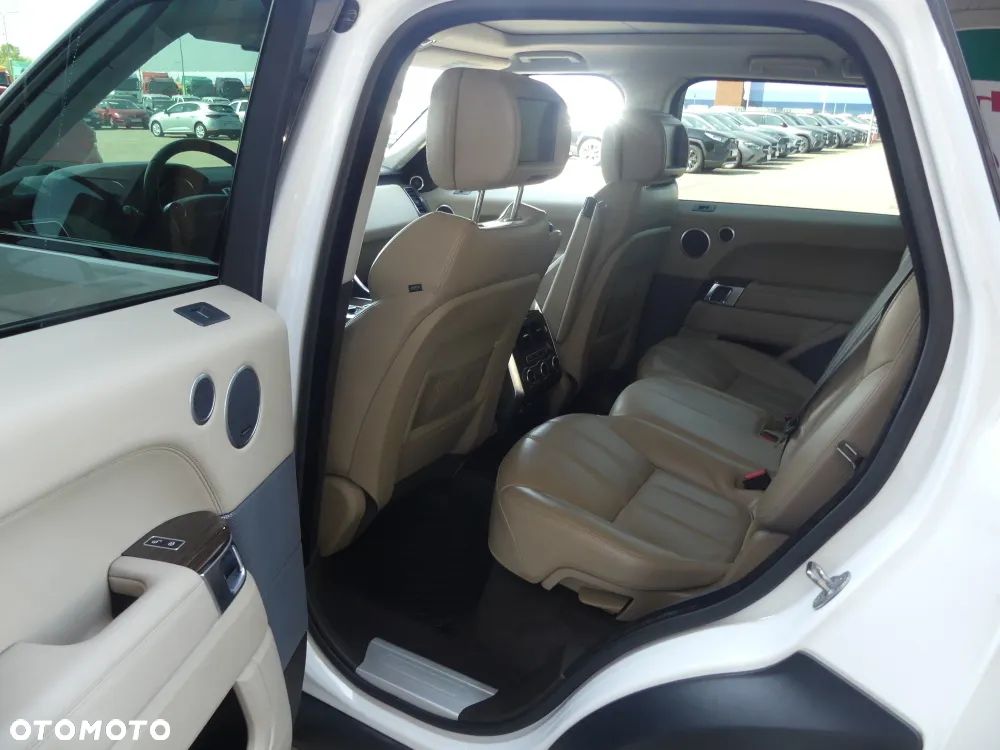Jaguar Inny - 10