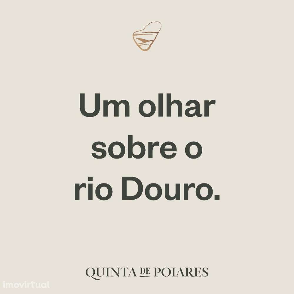 Lote para Construção Moradia 4 Frentes (encosta Rio Douro) - Grande imagem: 3/12