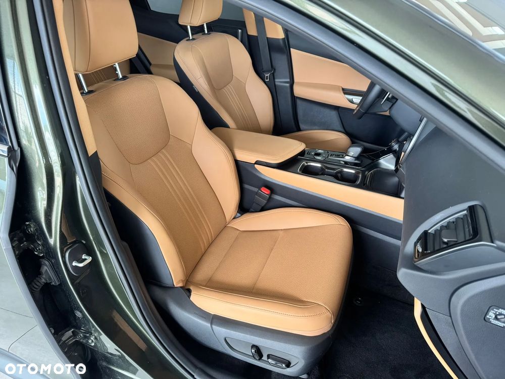 Lexus NX - 16
