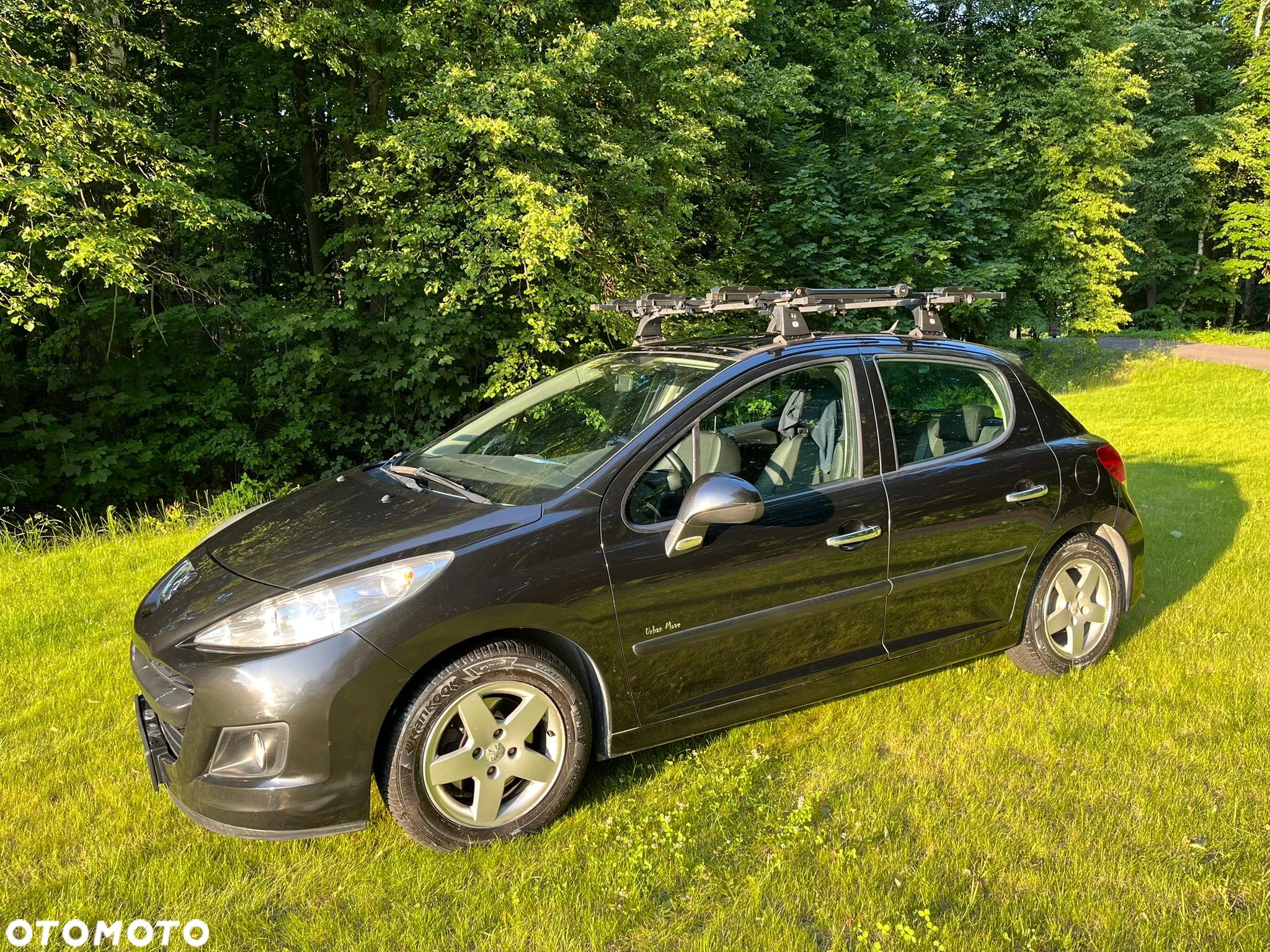 Peugeot 207 1.4 16V Trendy - 1