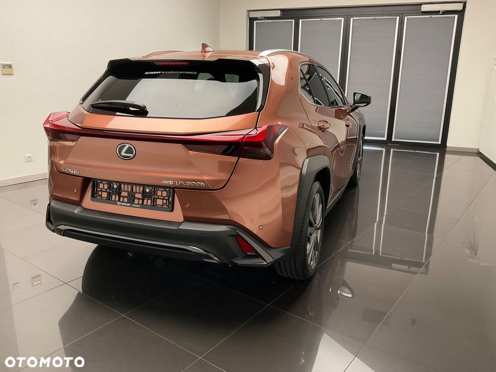 Lexus UX 300h F Sport Design - 22
