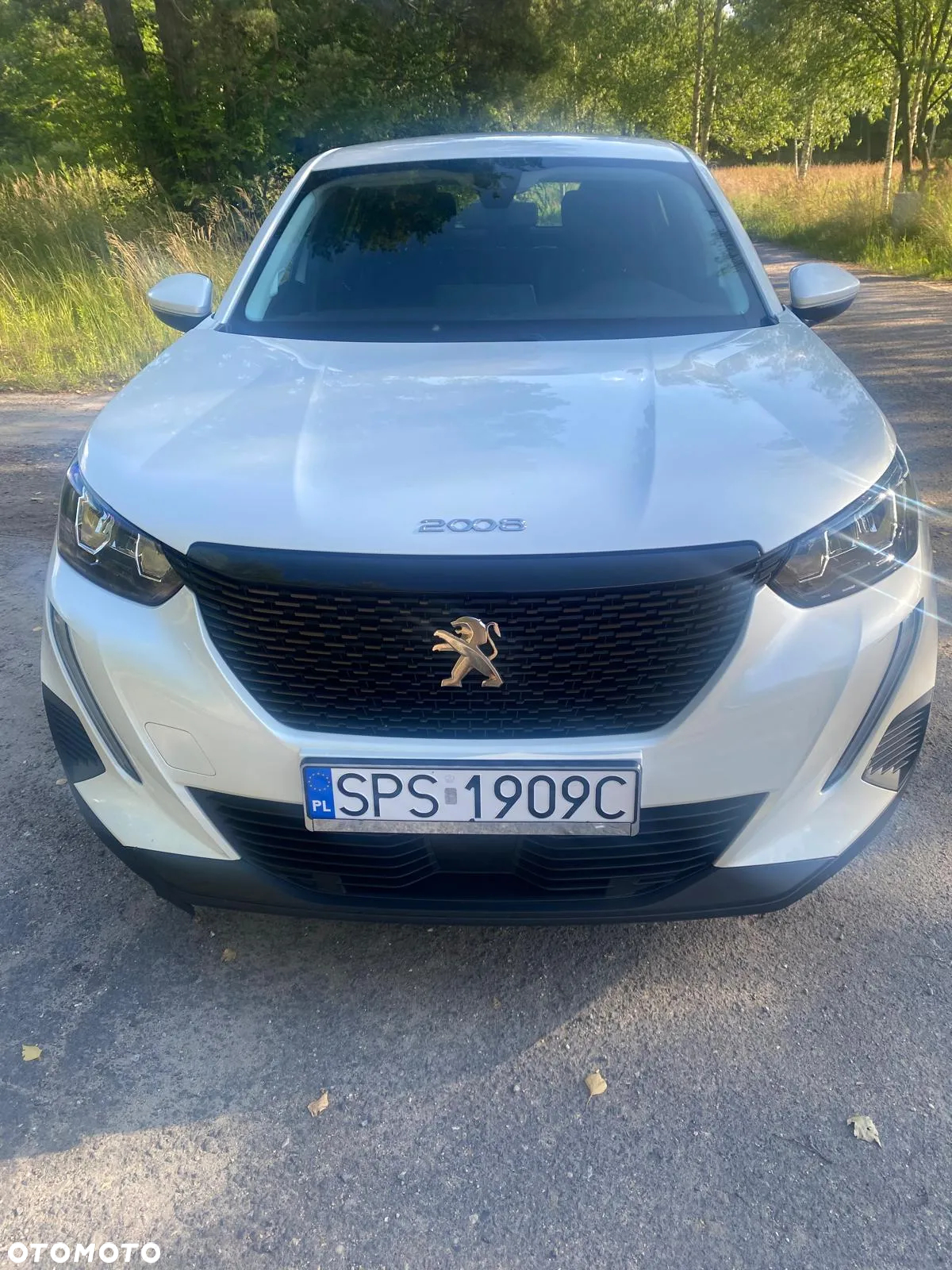 Peugeot 2008 1.2 PureTech Active S&S - 28