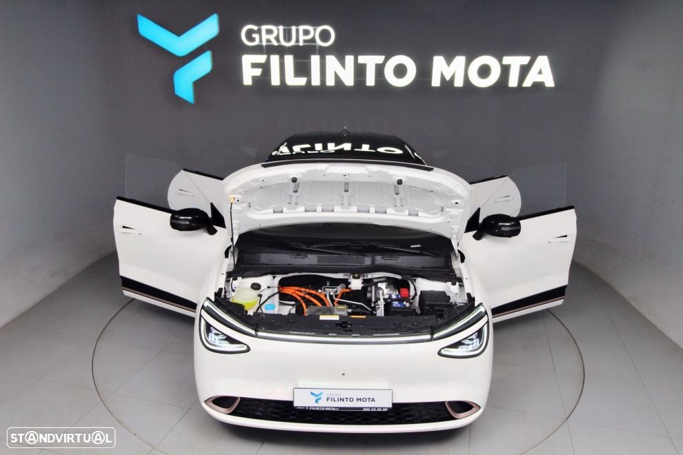 Dongfeng Box 42 kWh Plus - 12