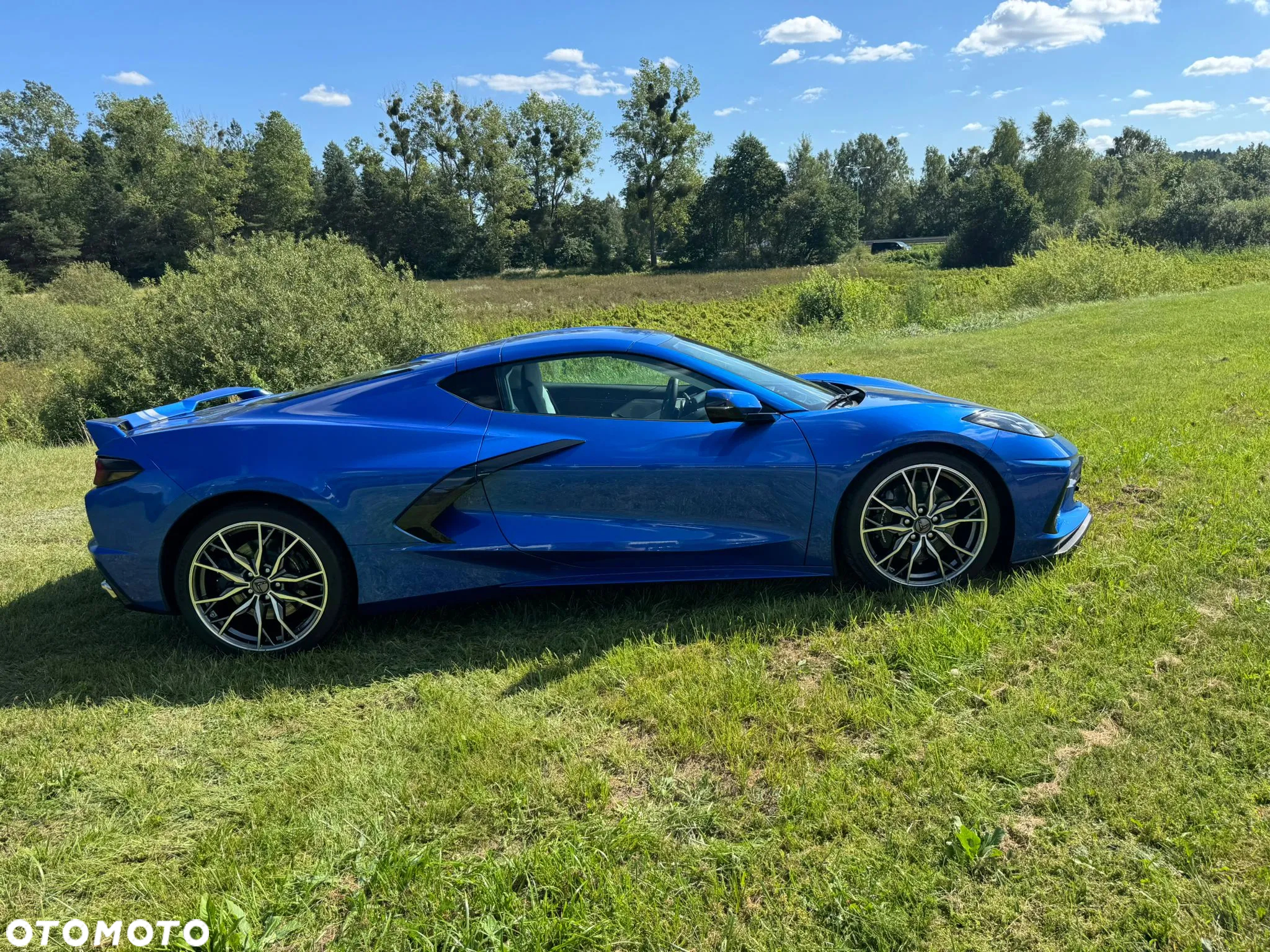 Chevrolet Corvette - 8