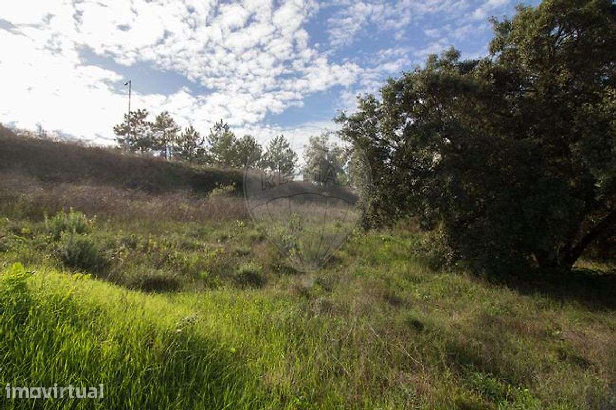 Terreno  para venda - Grande imagem: 4/4