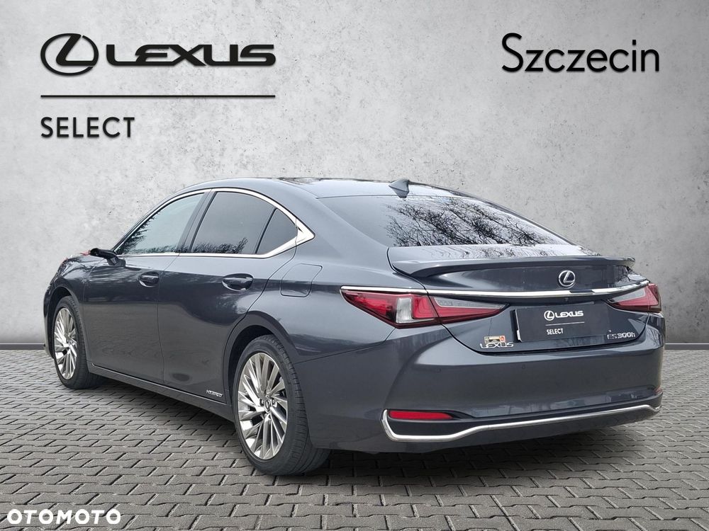 Lexus ES 300h Omotenashi - 3