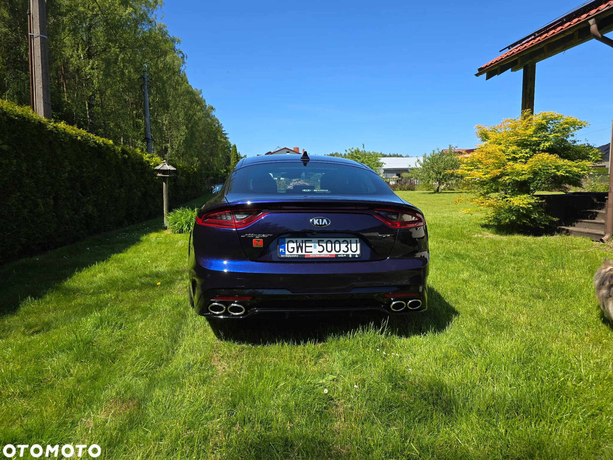 Kia Stinger 3.3 T-GDI V6 GT AWD - 6