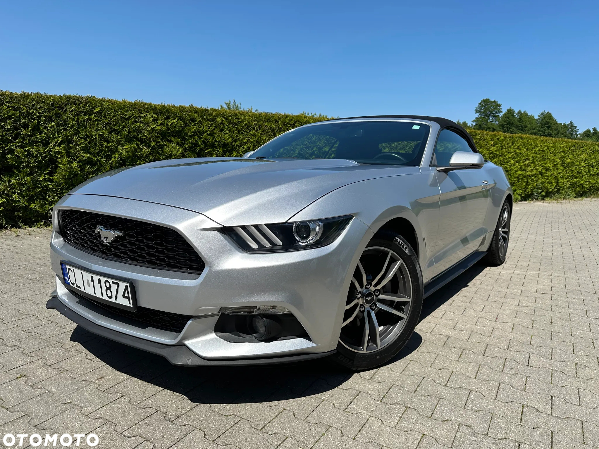 Ford Mustang Cabrio 2.3 Eco Boost - 25