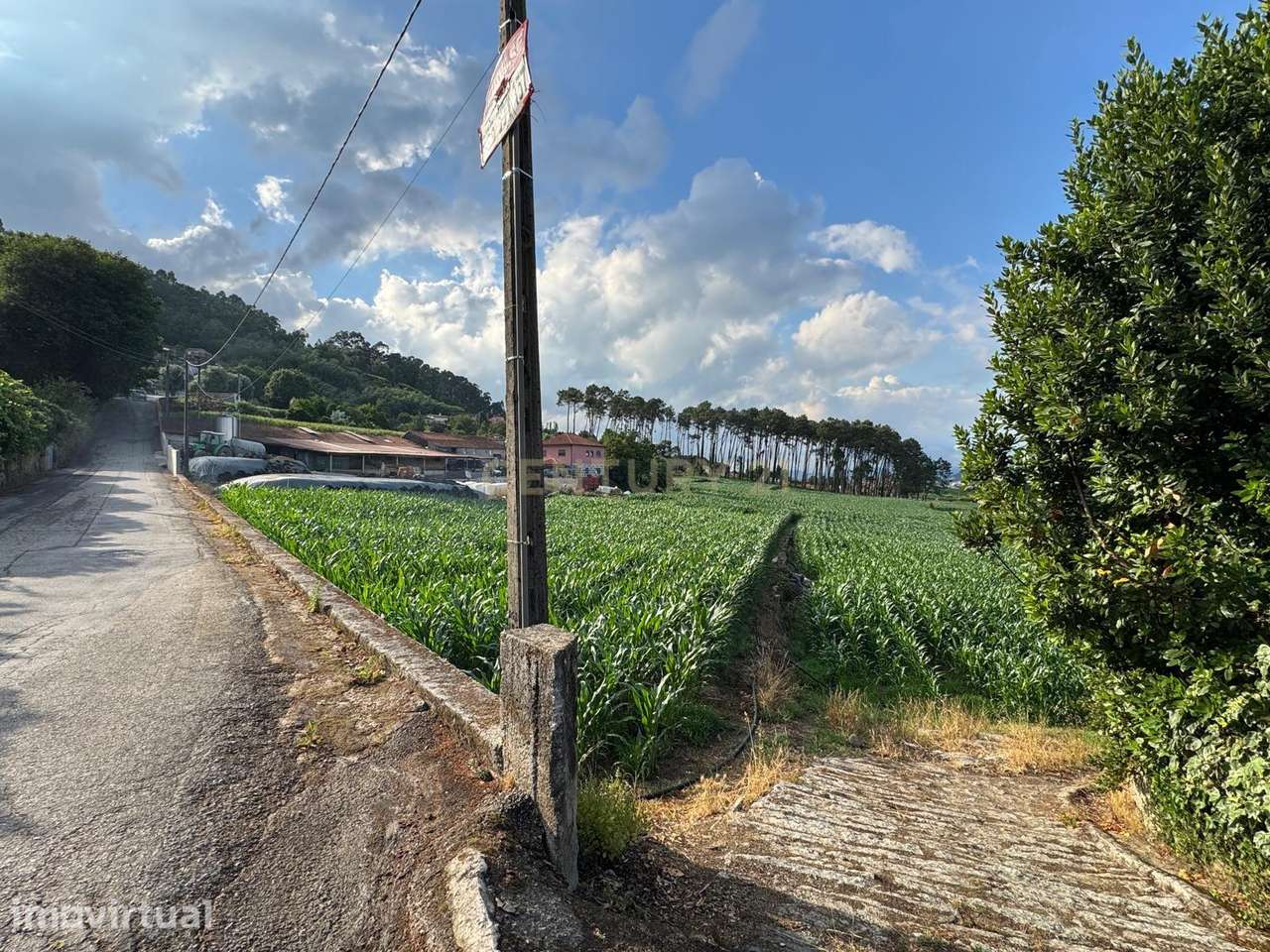 Terreno Rústico com 10.000 m² em Monte de Fralães – Barcelos - Grande imagem: 2/7