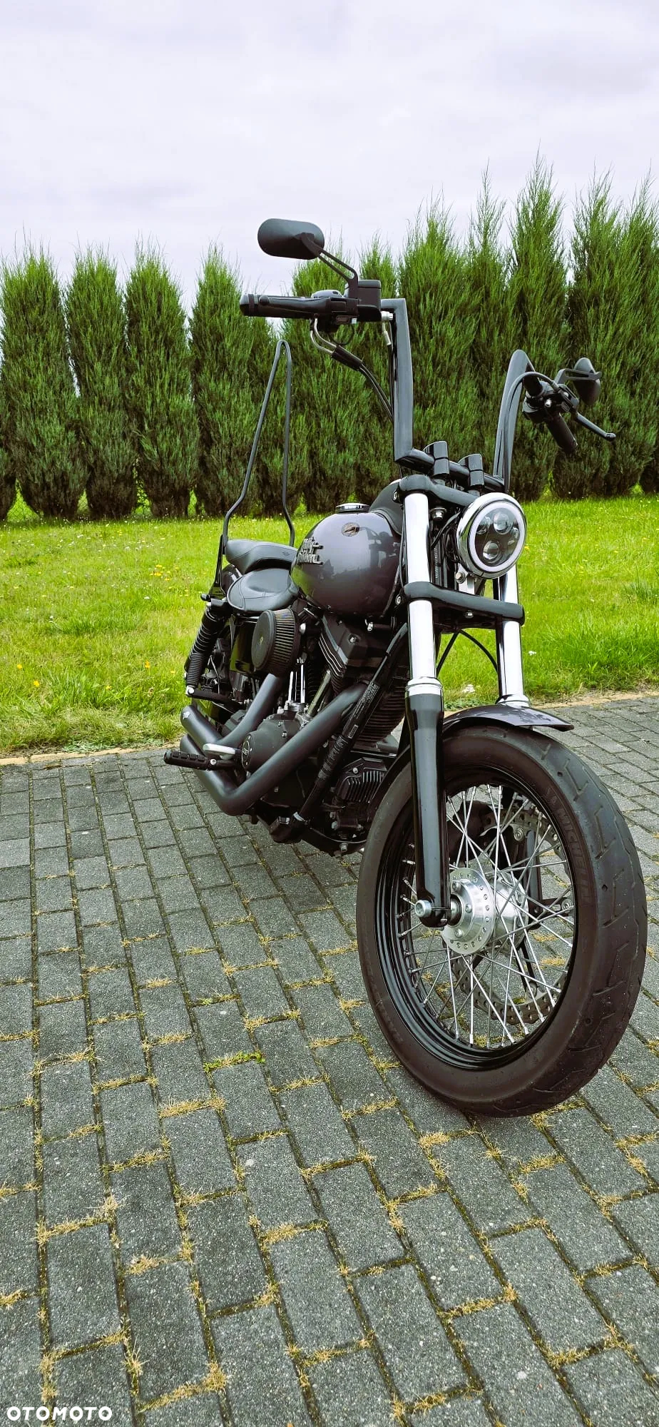 Harley-Davidson Dyna Street Bob - 12