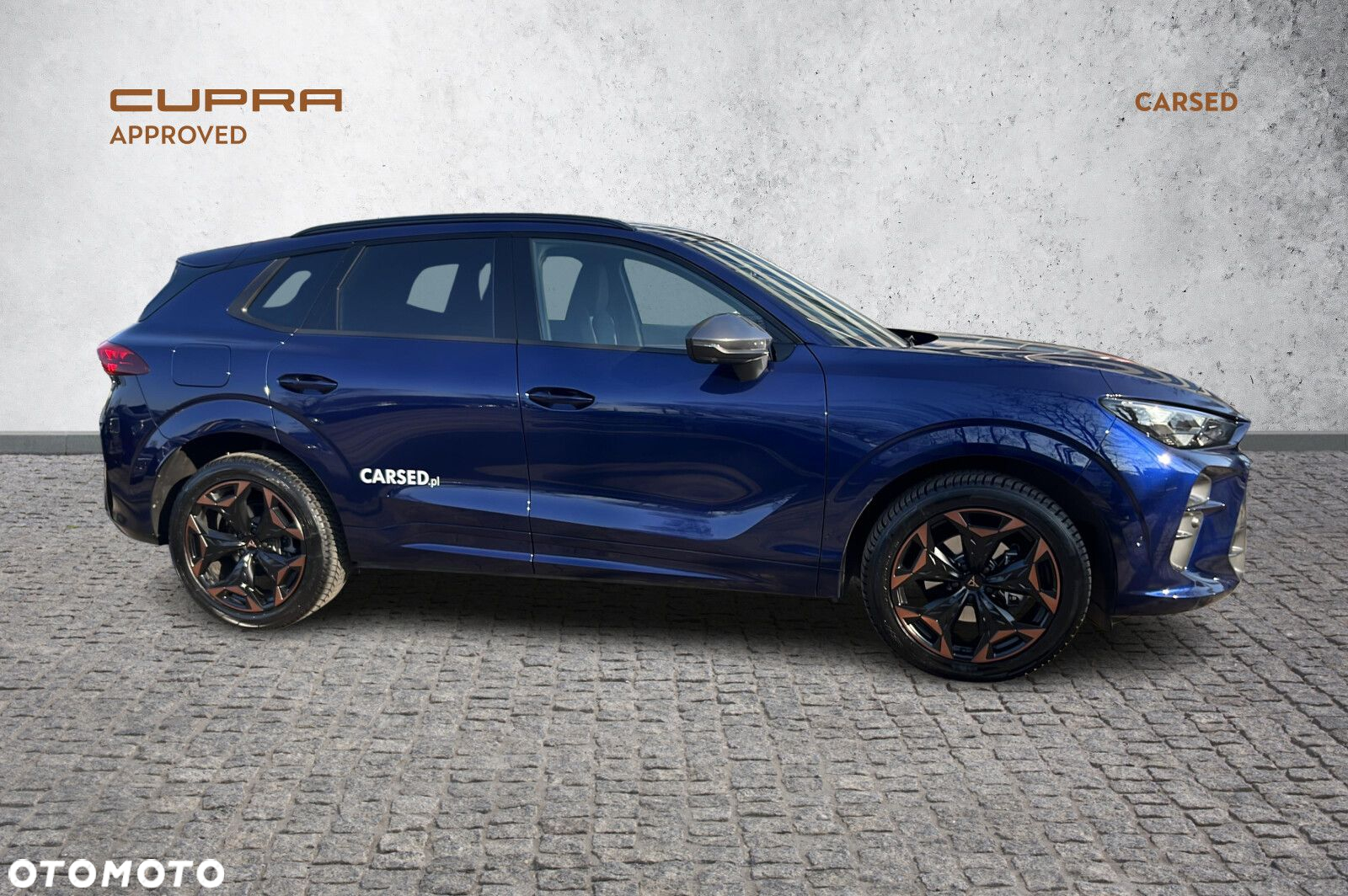 Cupra Terramar - 6