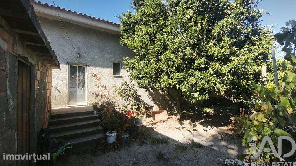 Casa / Villa em Lagos da Beira e Lajeosa de 268 m2 - Grande imagem: 3/40