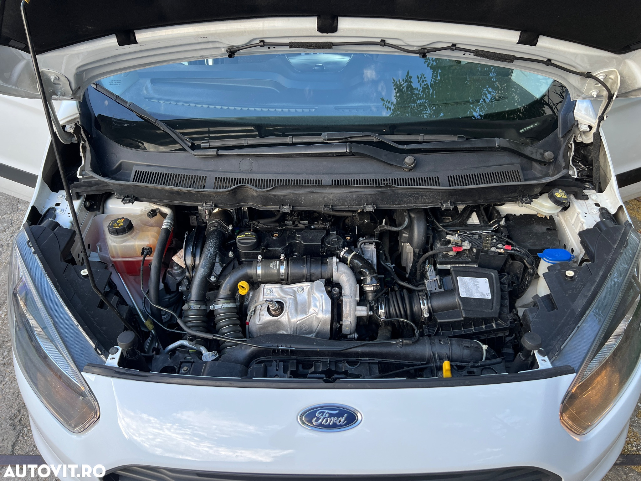 Ford Courier - 4
