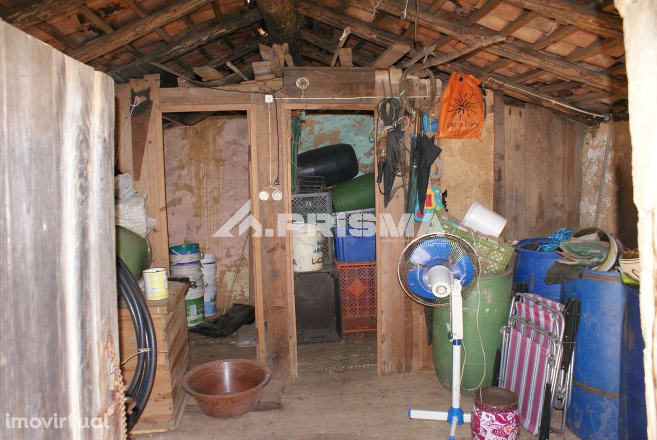 Terreno Rústico para Venda em Martim Branco - Grande imagem: 3/26