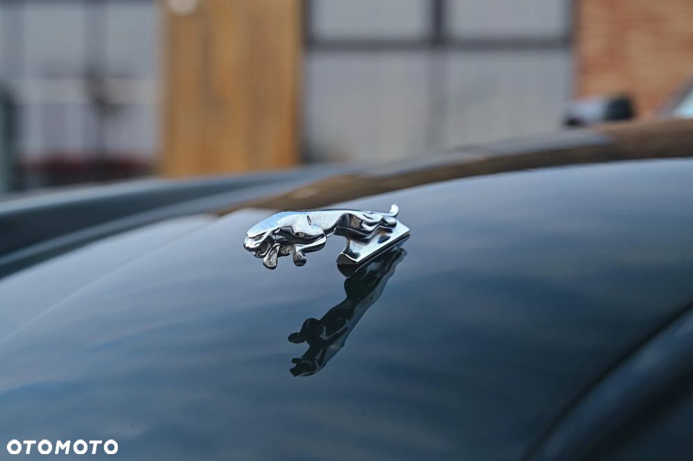 Jaguar XJS - 3