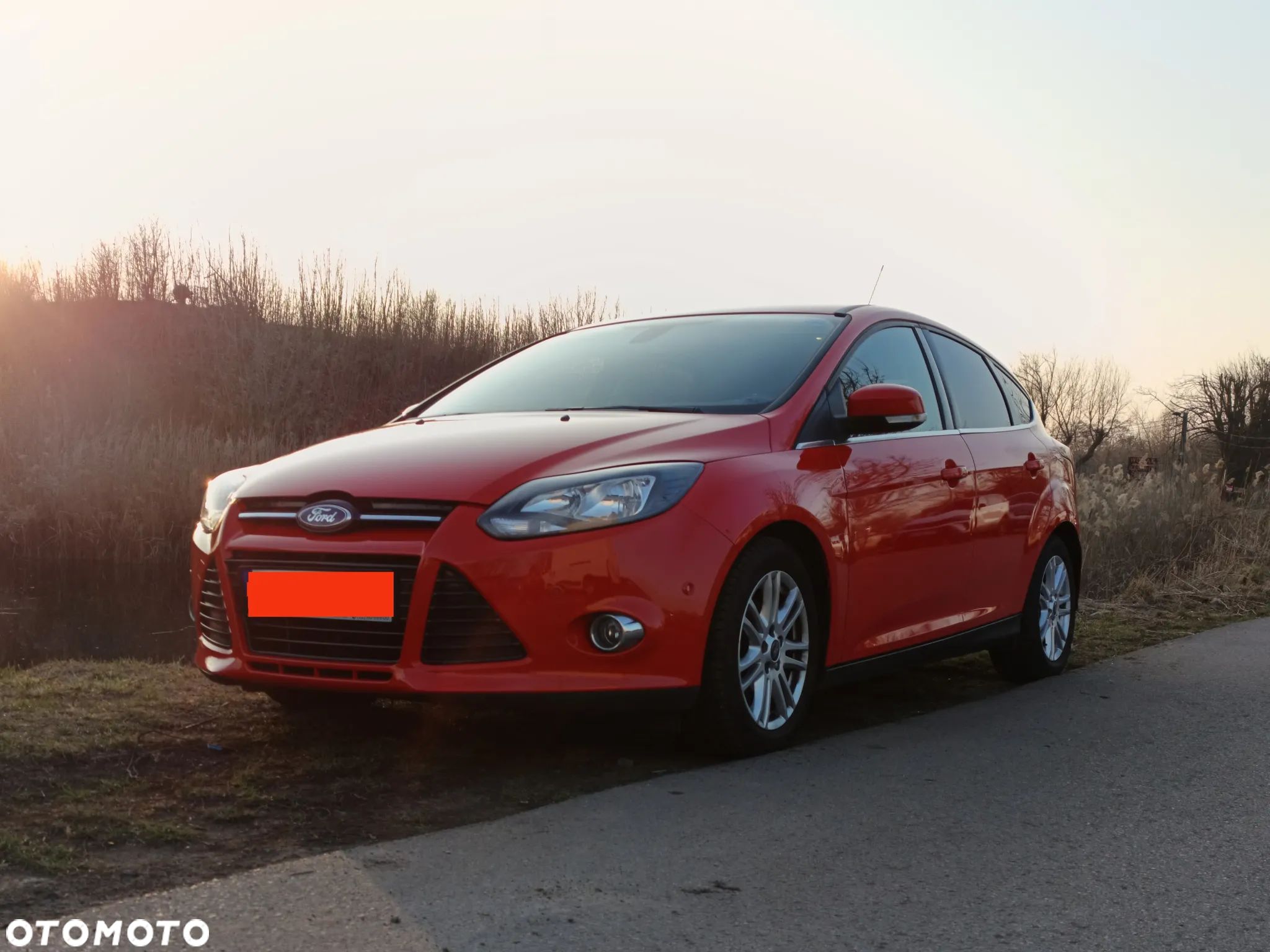 Ford Focus - 1