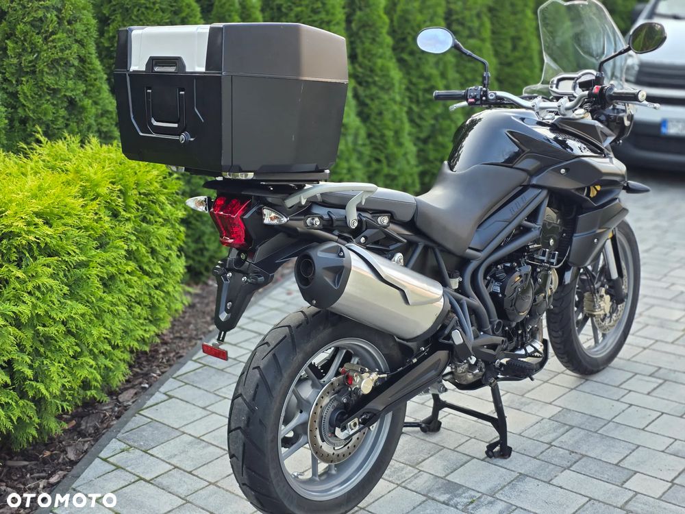 Triumph Tiger - 4