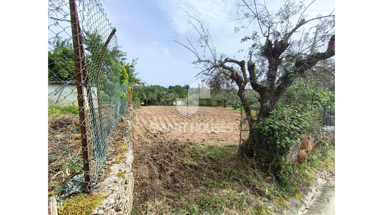 Moradia T4+1 S. João Boavista c/ terreno - Grande imagem: 4/45