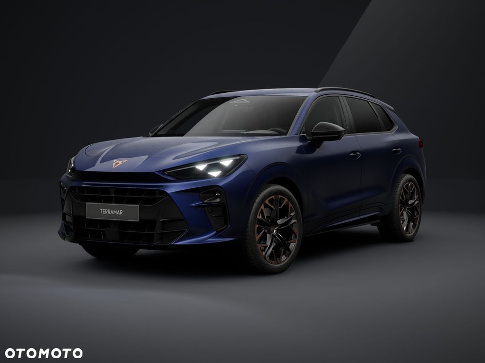 Cupra Terramar 2.0 TSI 4Drive DSG - 2