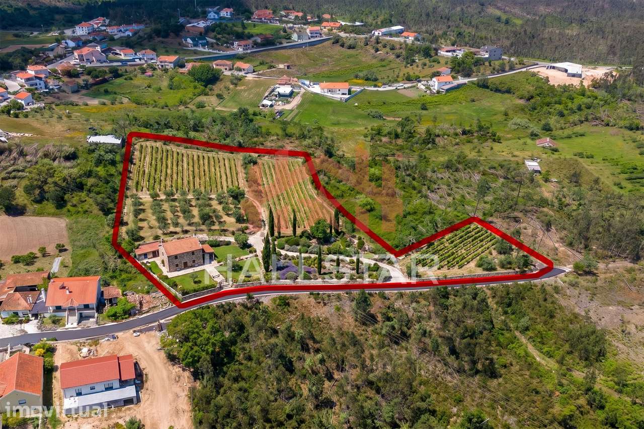 Terreno para Construção / Índice de 0.5 / Arrabal - Grande imagem: 2/15
