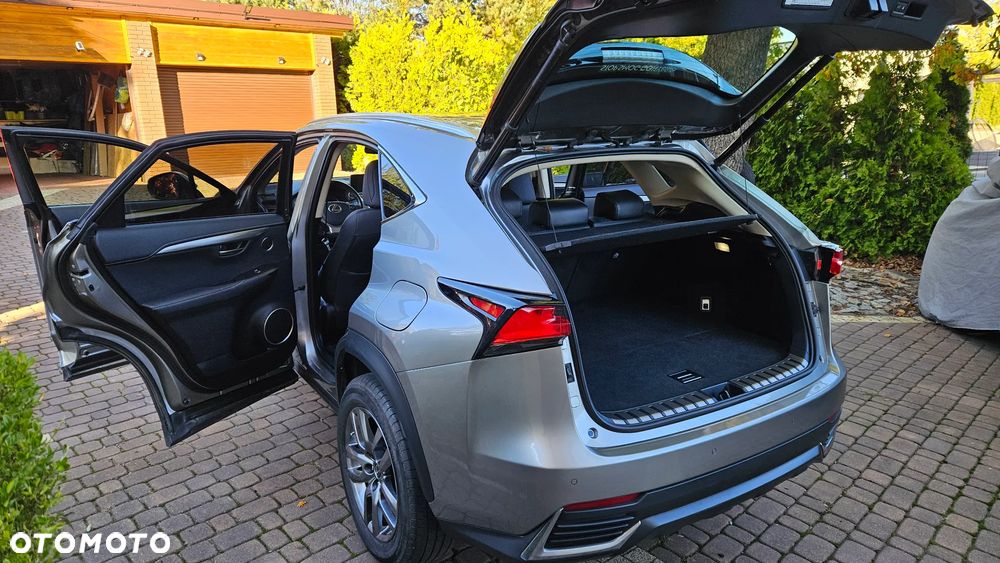 Lexus NX 300h Prestige AWD - 17