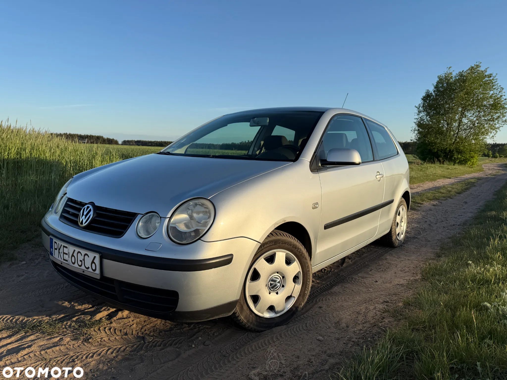 Volkswagen Polo - 1