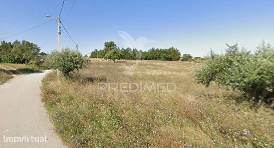 Terreno Rustico - Grande imagem: 4/4
