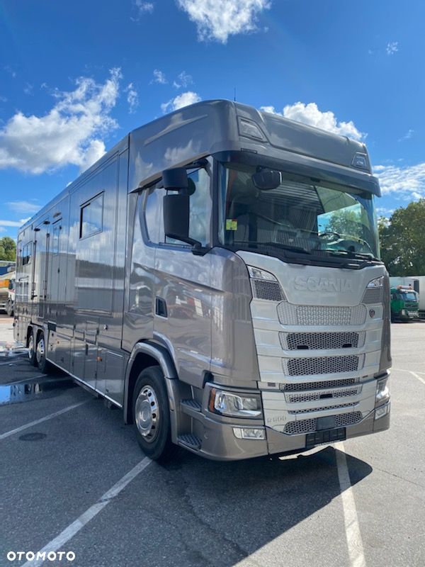 Scania S500 STX Koniowóz, 2xPOP OUT i POP UP. - 28