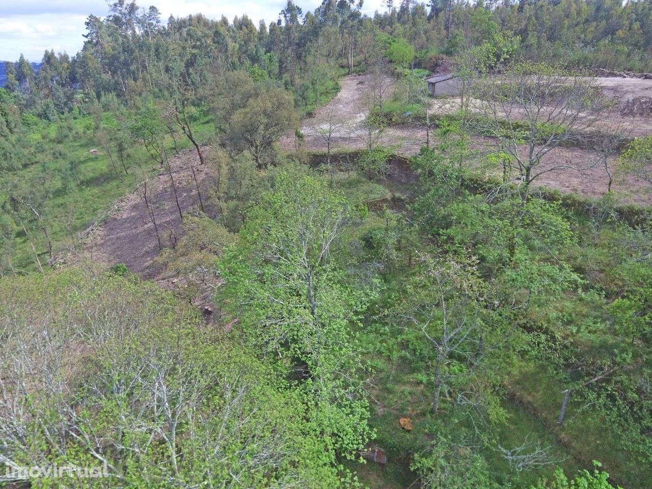 Terreno com ruína em Guimarei - Grande imagem: 5/8