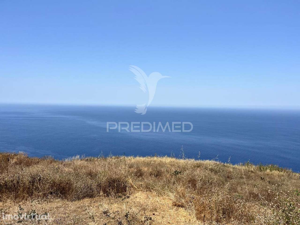 VENDO TERRENO COM 7.100M2 NA FAJÃ DA OVELHA - Grande imagem: 5/7